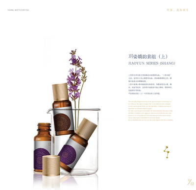 美容養(yǎng)生產(chǎn)品畫冊 健康與美麗的完美融合